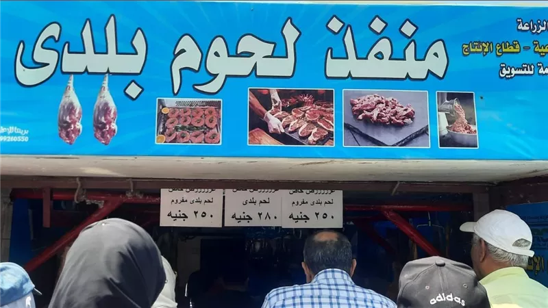 وزير الزراعة: إقبال كبير من المواطنين على منافذ وزارة الزراعة لشراء لحوم عيد الأضحى