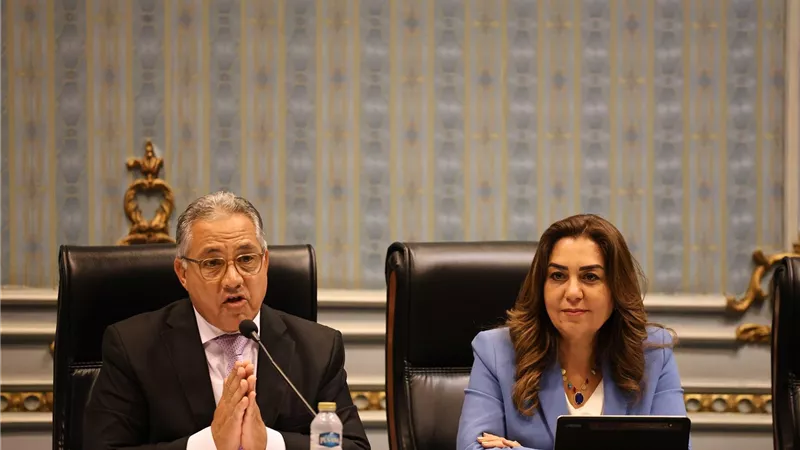 وزيرة التنمية المحلية تستعرض مشروعات البنية التحتية لمنظومة المخلفات أمام لجنة الإدارة المحلية بالنواب