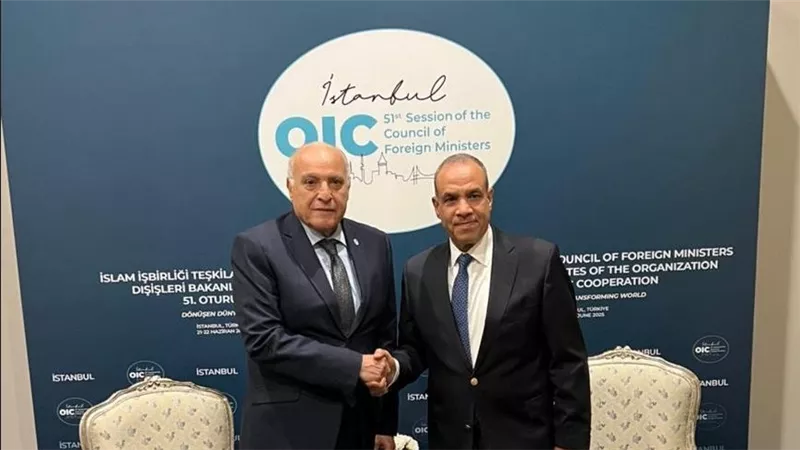 لقاء على هامش اجتماع مجلس وزراء خارجية منظمة التعاون الإسلامي في أسطنبول بين وزير الخارجية ونظيره الجزائري