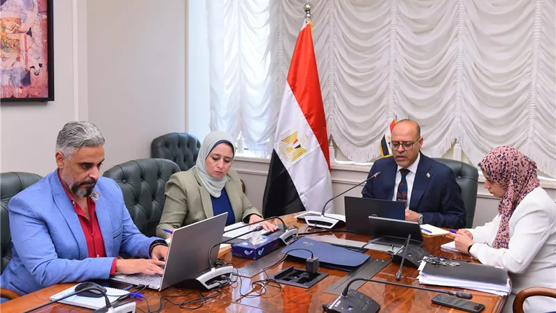 وزير العمل يوجه أعضاء مكاتب التمثيل بالخارج بالتواصل مع الشركات لتوفير فرص عمل للشباب المصري