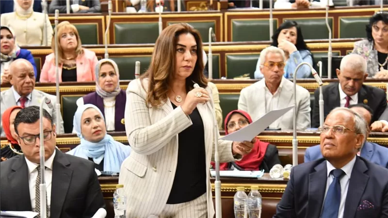 وزيرة التنمية المحلية: سلمنا مجلس النواب بيانًا تفصيليًا بقطع الأراضي الصالحة لمشروعات الإسكان في مختلف المحافظات