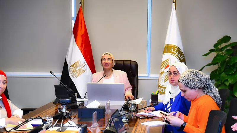 فؤاد: يجب مراعاة احتياجات الدول النامية لتحقيق التنمية المستدامة