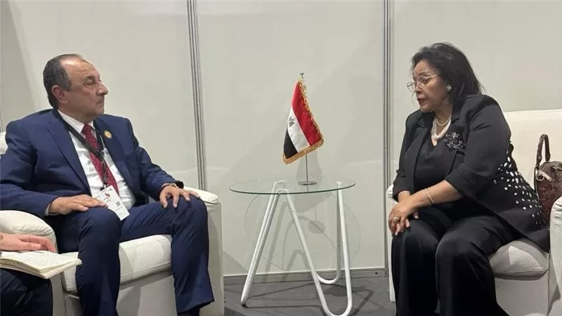 وزير قطاع الأعمال يجتمع مع الرئيسة التنفيذية لوكالة تنمية الاتحاد الأفريقي 