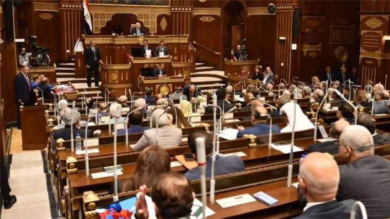قيادي بمستقبل وطن: مجلس الشيوخ يعزز الاستقرار ويرسخ دعائم الديمقراطية ومشاركة المواطنين تدعم التنمية