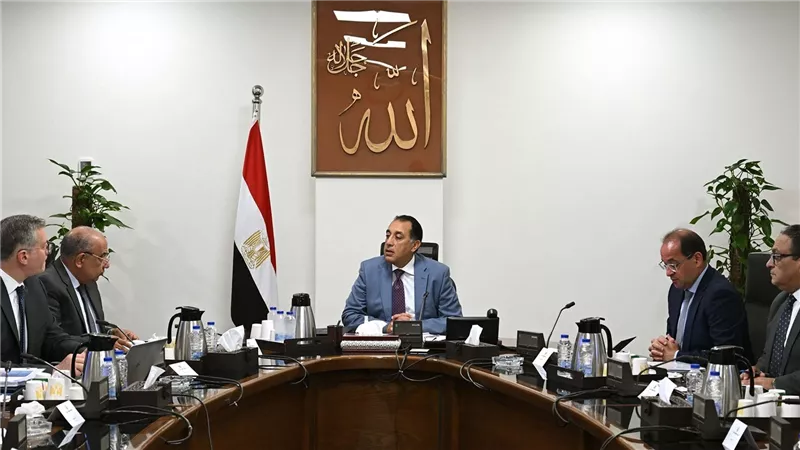 رئيس الوزراء يتابع إجراءات توفير الاعتمادات المالية المطلوبة للمواد البترولية اللازمة لتشغيل محطات الكهرباء 