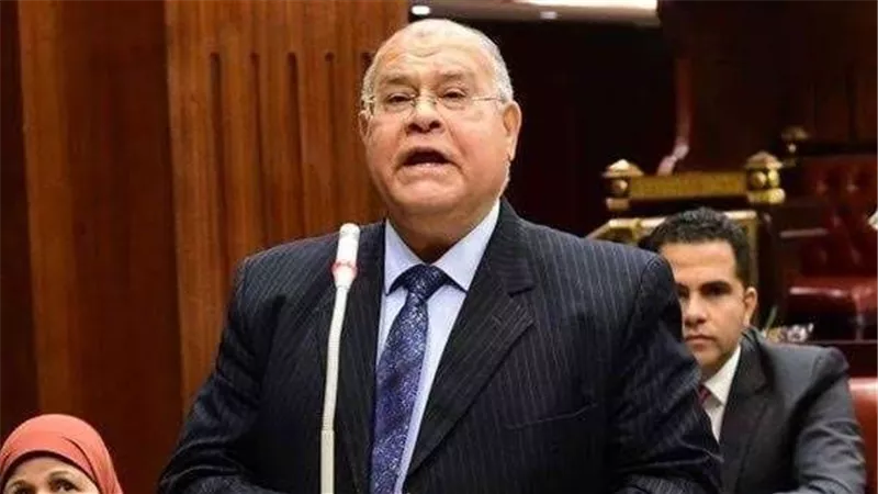 رئيس حزب الجيل: مصر الدرع الواقي للقضية الفلسطينية