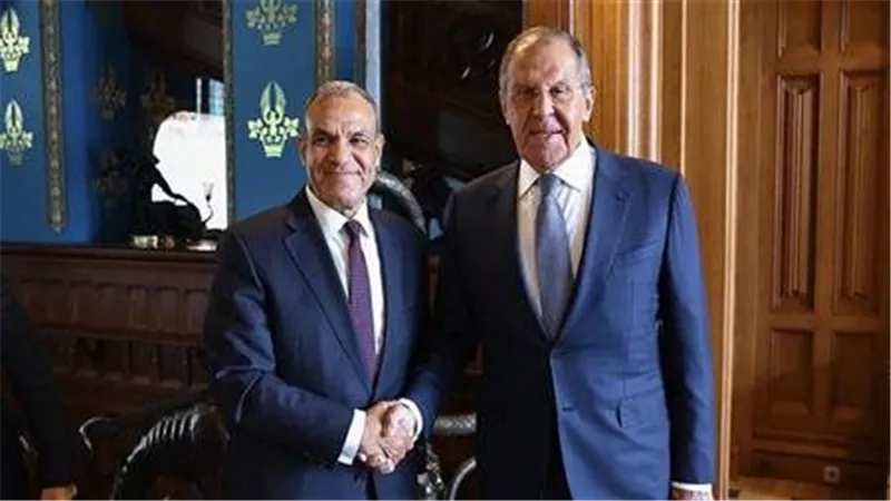 وزير الخارجية لنظيره الروسي: يجب الضغط على إسرائيل لقبول وقف إطلاق النار فى غزة
