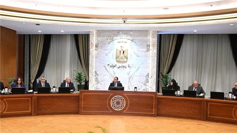 رئيس الوزراء يترأس اجتماع المجلس الأعلى للطاقة