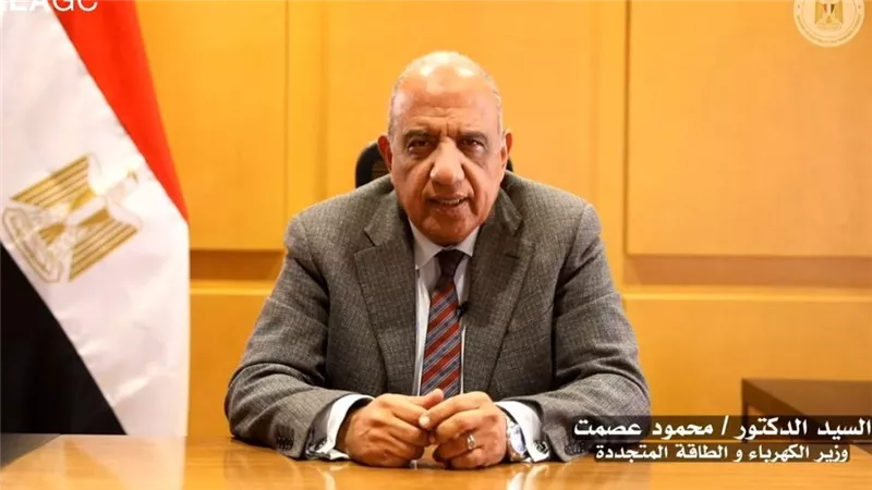 وزير الكهرباء: الاستخدامات السلمية للطاقة الذرية حقٌ أصيل لجميع الدول