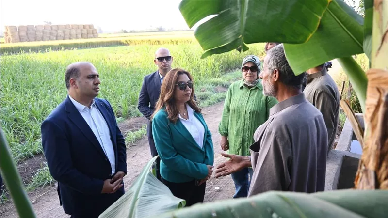وزيرة التنمية المحلية والقائم بأعمال وزير البيئة في جولة مفاجئة لمنظومة جمع قش الأرز بالدقهلية والقليوبية