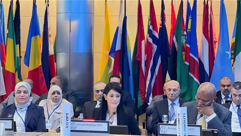 المشاط: نُقدر جهود مؤسسات التمويل العربية ونؤكد أهمية التكامل الإقليمي لمواجهة تحديات التنمية
