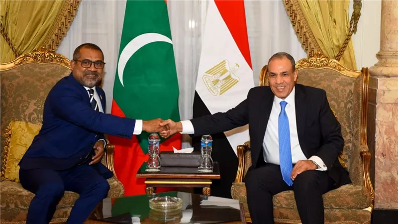 مشاورات سياسية بين وزيرى خارجية مصر والمالديف
