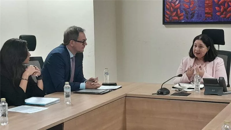نائبة وزيرة التضامن الاجتماعي تلتقي رئيس التعاون الإنمائي الألماني بسفارة ألمانيا بالقاهرة