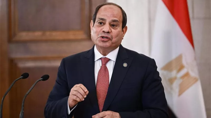 الرئيس السيسي يستقبل ياسمين فؤاد ويؤكد دعم مصر لجهود مكافحة التصحر عالميًا