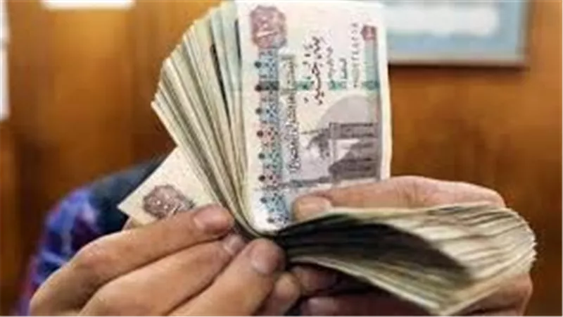 منحة العمالة غير المنتظمة 2026.. الفئات المستحقة وطريقة الصرف