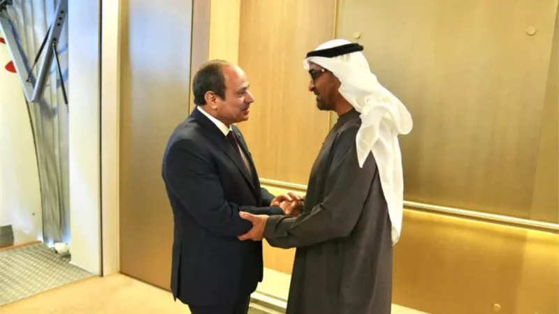 الرئيس السيسي يؤكد انفتاح مصر على المزيد من الاستثمارات الإماراتية
