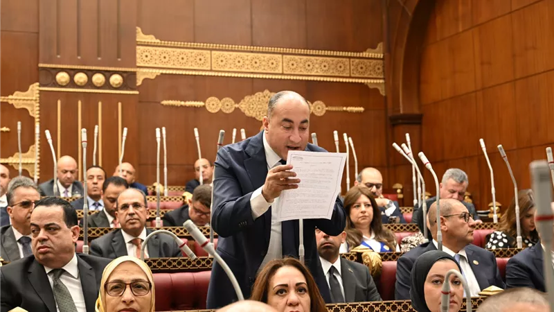 عضو الشيوخ عمرو رشاد: تعديل قانون التأمينات ضرورة لحماية ملايين المصريين