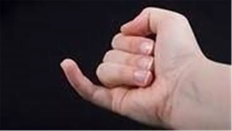 ترند 