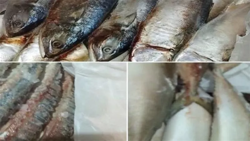 غير صالحة للاستهلاك الآدمي.. ضبط نصف طن أسماك في محافظة البحيرة