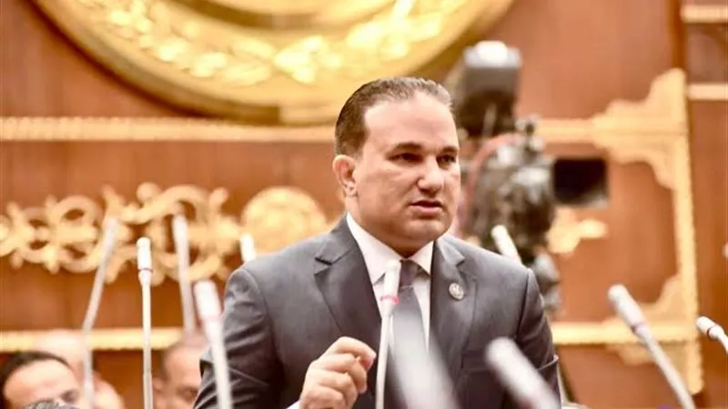 عضو بـ«الشيوخ»: مصر أصبحت البيئة الأكثر تنافسية لرؤوس الأموال العالمية