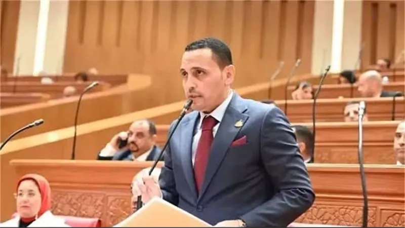 النائب إسلام التلواني: ثقة كاملة في قدرة القيادة السياسية على حماية الأمن القومي المصري بعد حادث ميناء دمياط
