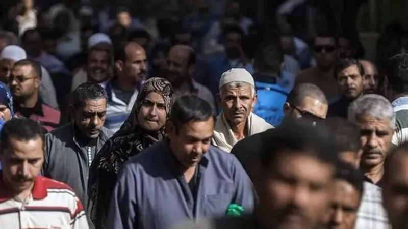 البطالة في مصر تسجل أدنى مستوى تاريخي.. والزراعة تتصدر الوظائف