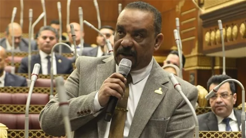 برلماني: زيارة الرئيس الصيني تفتح بابًا جديدًا للتنمية ونقل التكنولوجيا