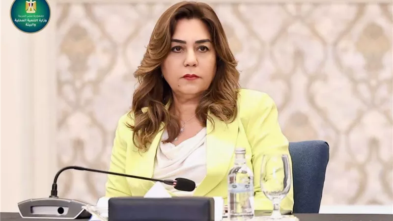 وزيرة التنمية المحلية تتلقى تقريرًا حول نتائج أعمال قطاع التفتيش والمتابعة بمحافظتي الغربية وجنوب سيناء