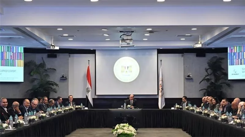 خطوات جديدة لتعظيم الصادرات المصرية.. مباحثات بين وزير الاستثمار ومجموعة موانئ دبي