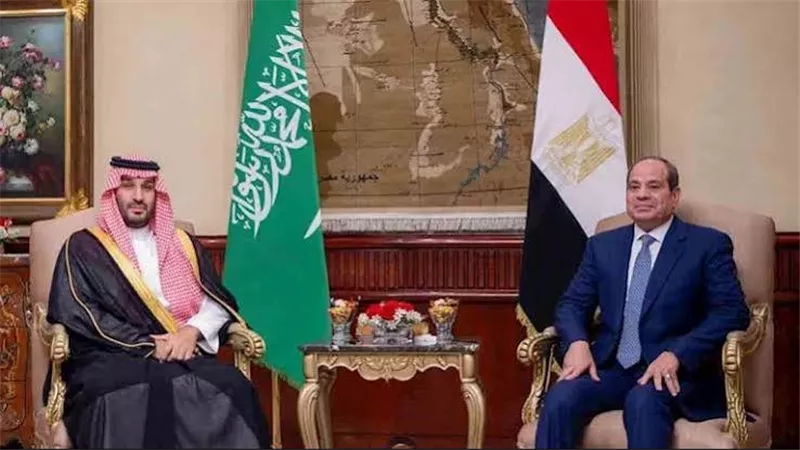 رئاسة الجمهورية: أي تهديد لوحدة السودان خطر على الأمن الجماعي لمصر والسعودية