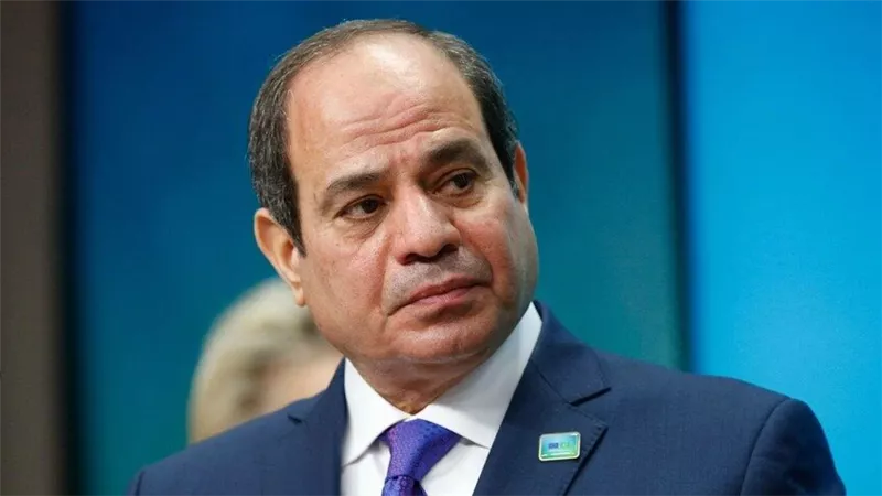 الرئيس السيسى يشدد على رفض أي محاولات للمساس بوحدة الدول ويؤكد استمرار مصر في دعم المؤسسات الوطنية