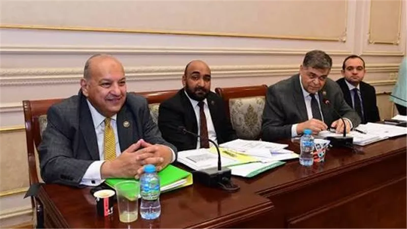 «صحة النواب» تقر خطة عملها وتضع أزمة نقص الأدوية وتكليف الأطباء على رأس أجندتها
