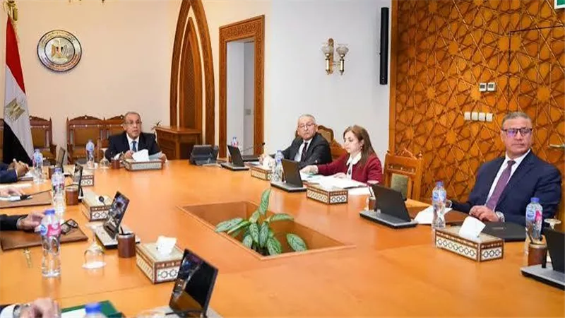 وزير الخارجية يجتمع مع مجلس إدارة الوكالة المصرية للشراكة من أجل التنمية