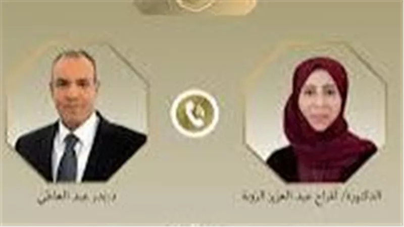 مباحثات مصرية يمنية رفيعة المستوى: رفض تام لاعتداءات السعودية وتأكيد على وحدة اليمن